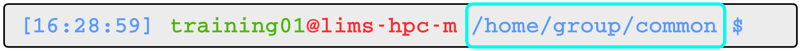 Current working directory