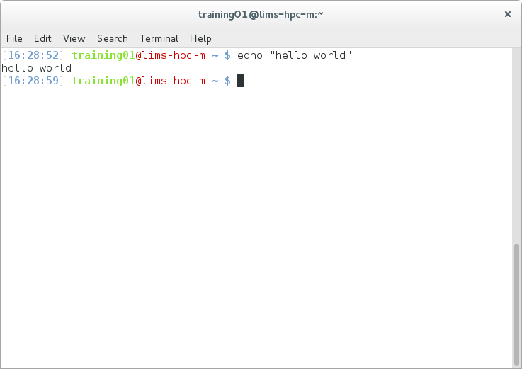 Unix Screen